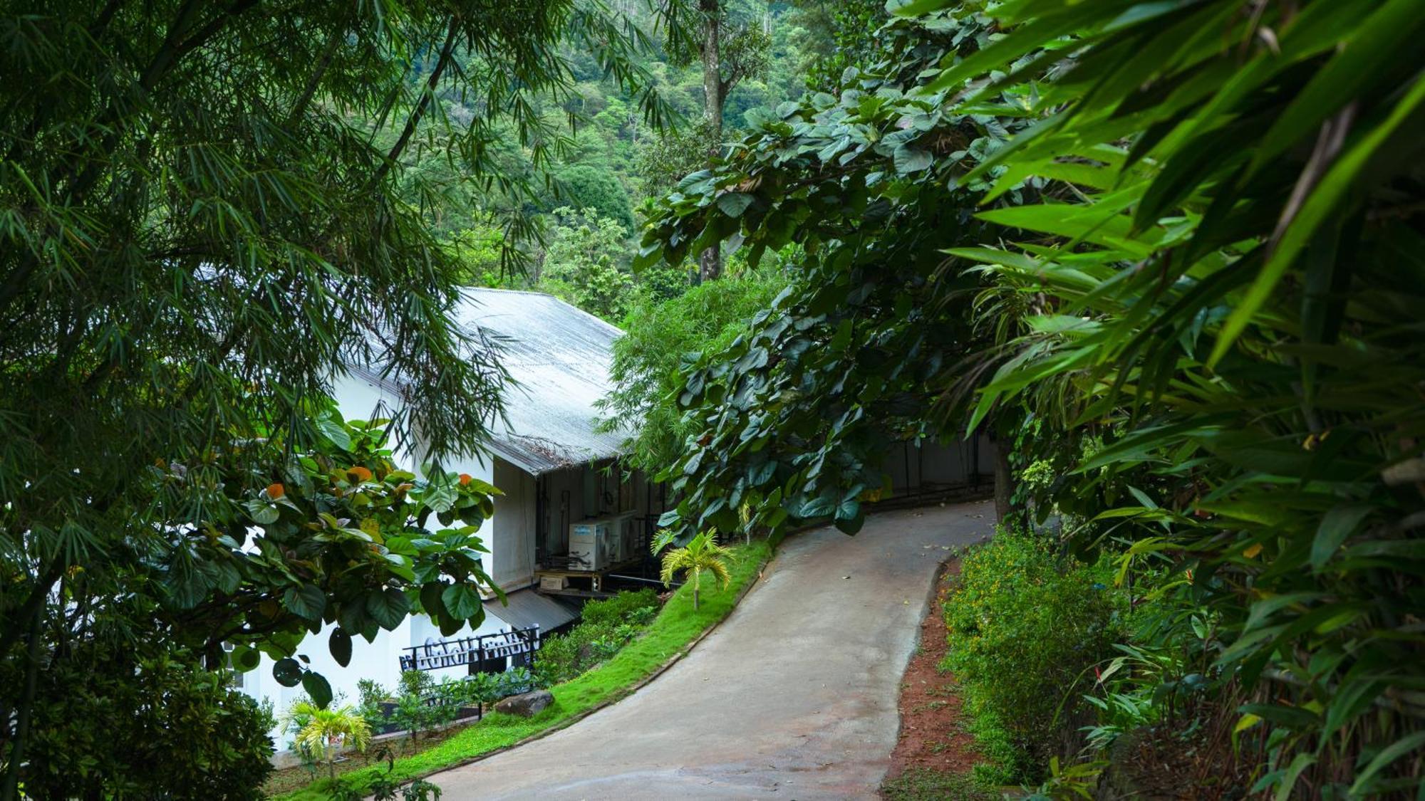Vythiri Holiday Resort, Wayanad Exterior photo